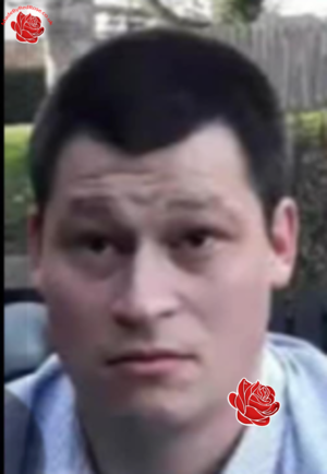 Andrew Harrison – profile image